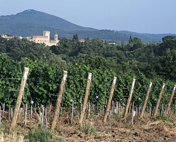 Tenuta dell'Ornellaia